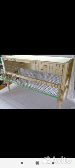 Клетка перепелиная