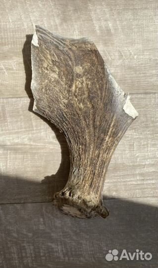 Лакомства для собак