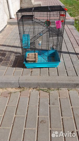 Клетка для грызунов