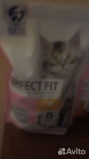 Женские вещи пакетом 42 44