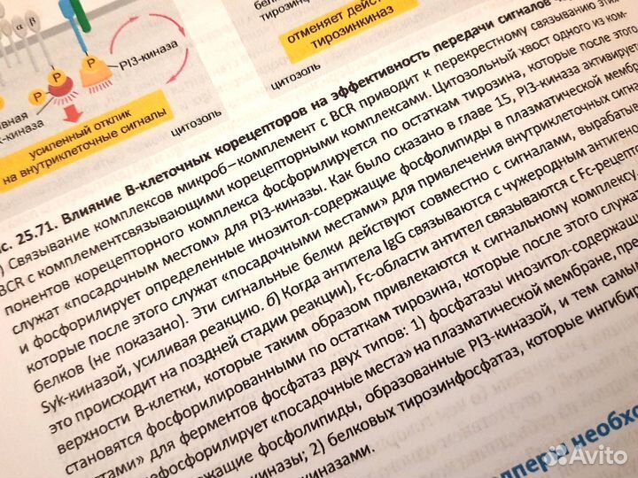 Молекулярная биология клетки (3 Тома, 2023)