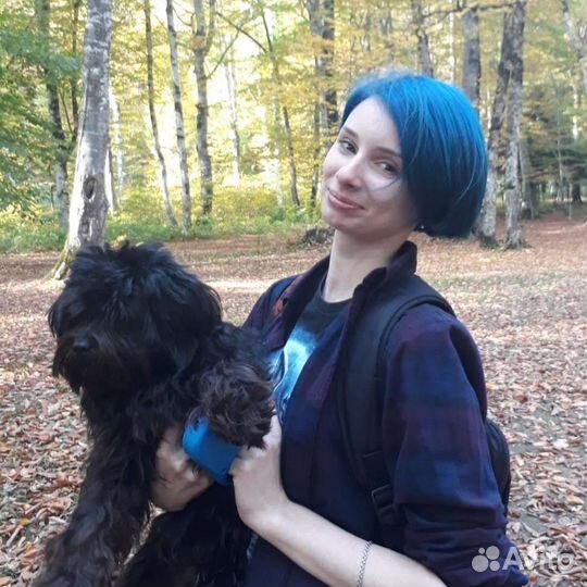 Зооняня на время отъезда хозяев + отчёты