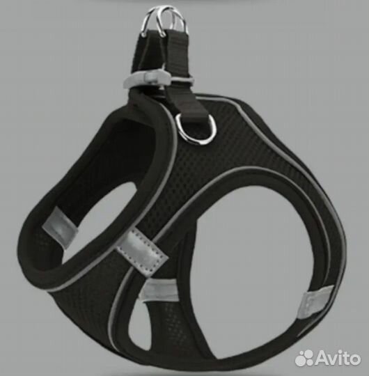 Шлейка и поводок