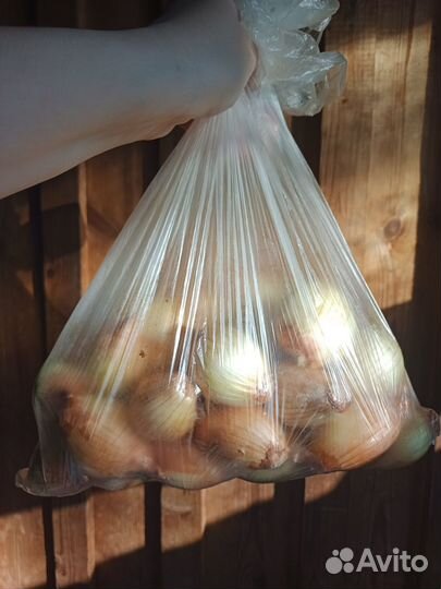 Лук на посадку