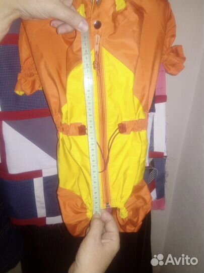 Костюм для собачки-мальчика