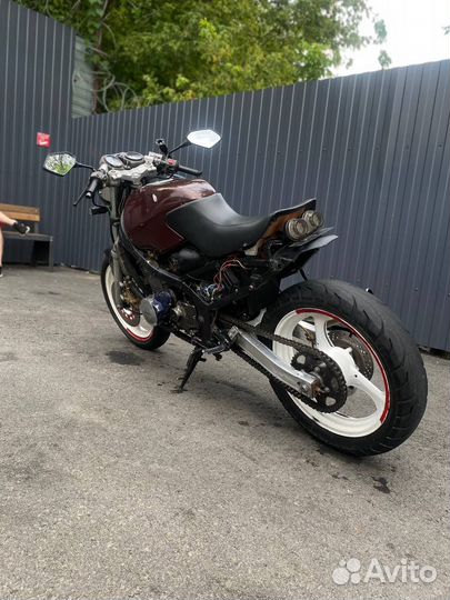 Suzuki bandit 250