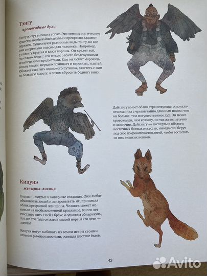 Бестиарий Звихтман Волбеда