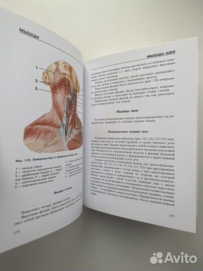 Атлас анатомии человека