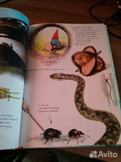 Книга «Тайны гномов» энциклопедия