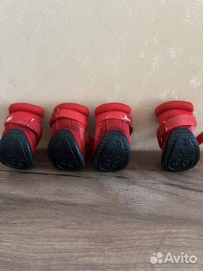 Ботинки для собак