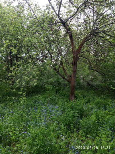 Дача 20 м² на участке 5,3 сот.