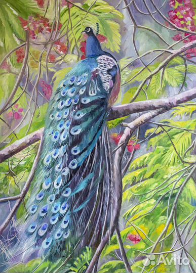 Картина интерьерная маслом Павлин на ветке