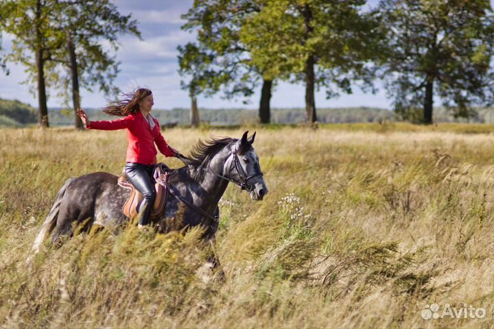 Прокат, прогулка верхом на лошади, фотосессии
