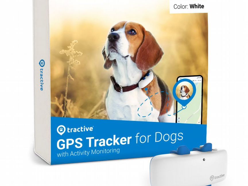 Gps tracker Ошейник