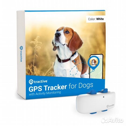 Gps tracker Ошейник