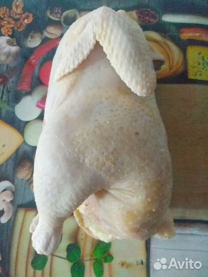 Домашние куры бройлеры