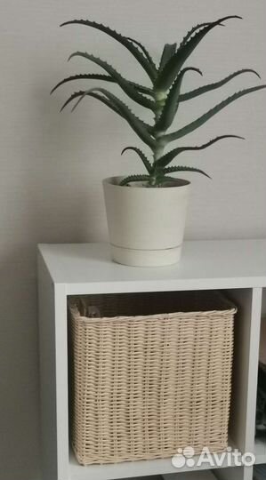 Плетение из бумажной лозы