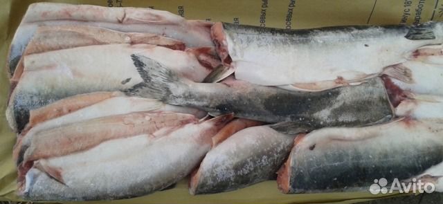 Свежемороженая горбуша
