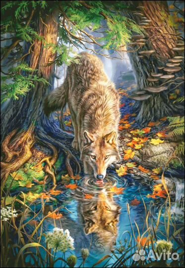 Набор для вышивания китайский(волк)