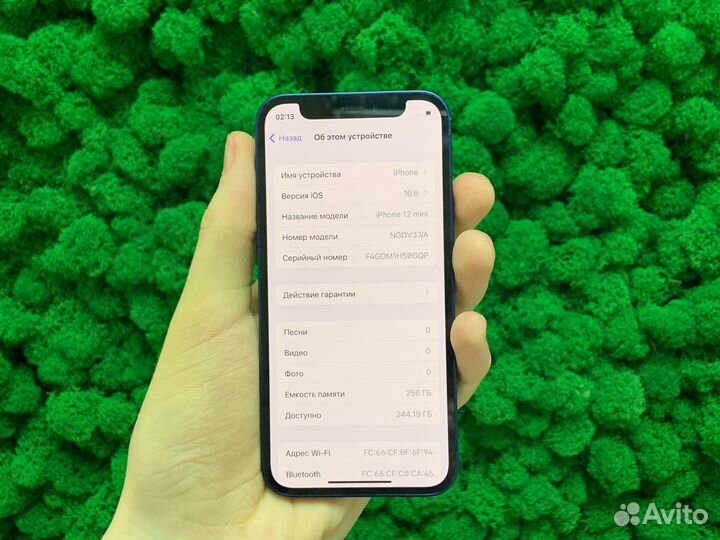 iPhone 12 mini, 256 ГБ