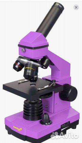 Микроскоп levenhuk Rainbow 2L plus amethyst