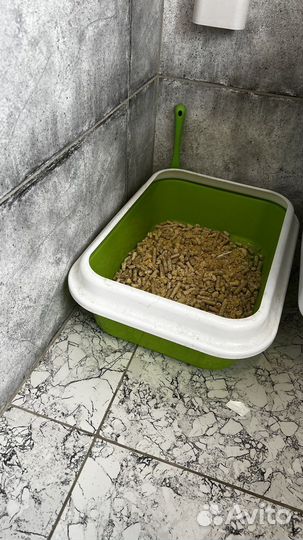 Наполнитель и лоток для кошек