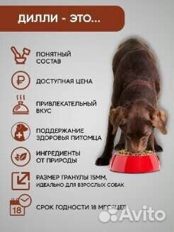 Корм для собак