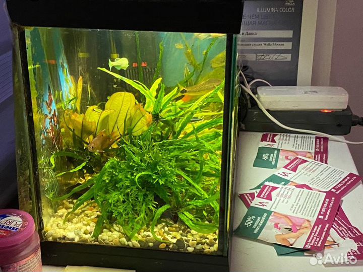 Украшение для аквариума