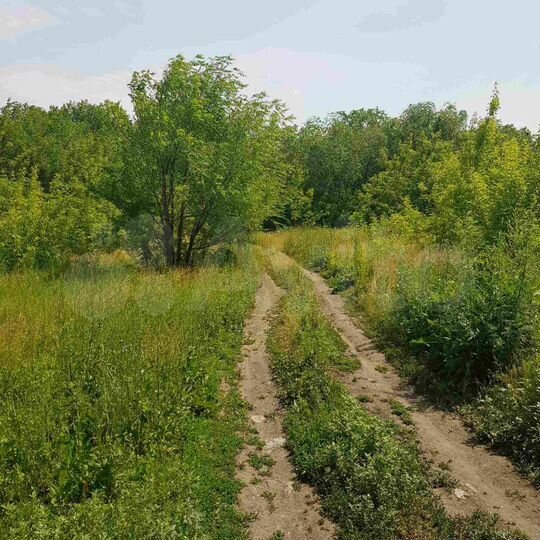 Участок 25 сот. (ИЖС)