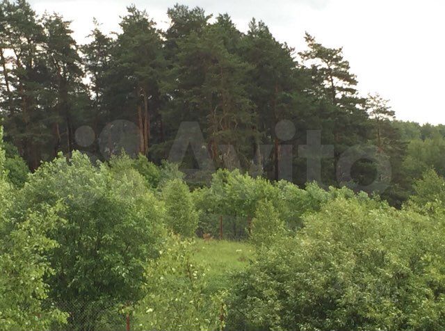 Участок 12,4 сот. (СНТ, ДНП)