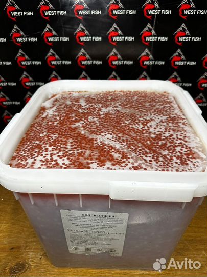 Красная Икра Кижуча 2023г оптом без посредников