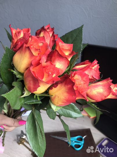 Цветы розы опт