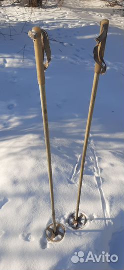 Лыжные палки
