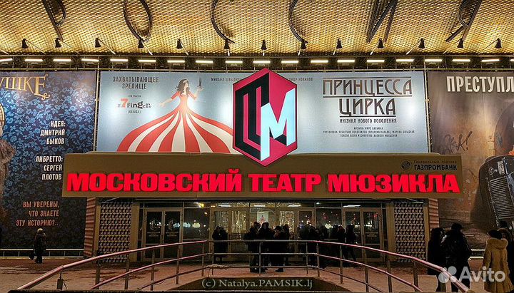 Билеты в театры Москвы