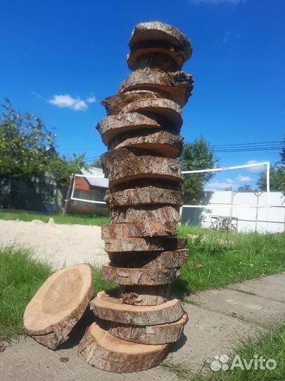 Спилы яблони