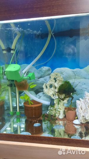 Аквариум