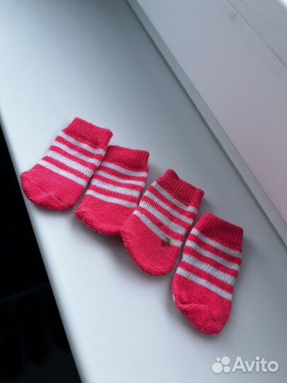 Носки для собак