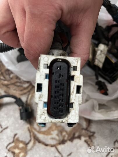 Центральная проводка Chevrolet cruze хэтчбек