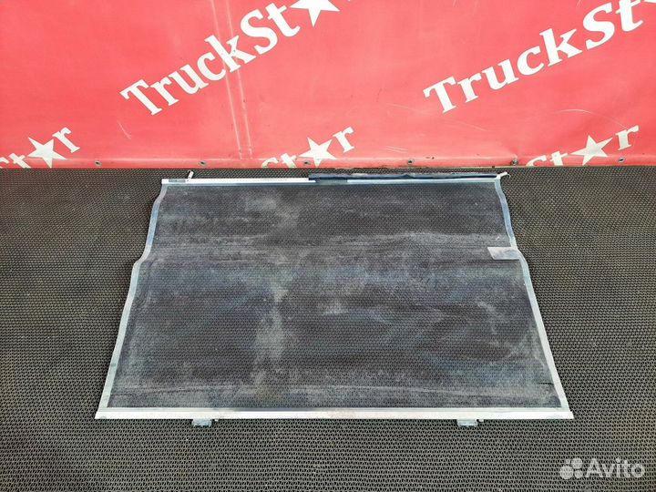 Сетка радиатора москитная Daf XF106