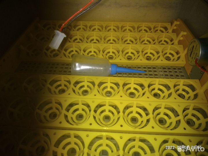 Инкубатор для куринных и перепелинных яиц