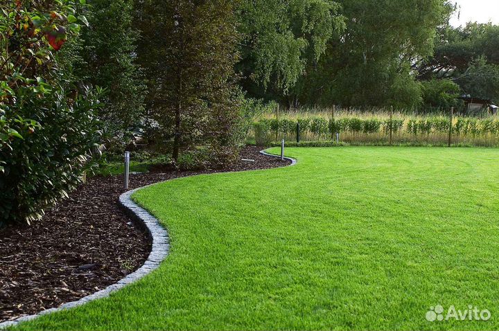 Укладка и продажа рулонного газона
