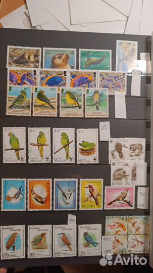 Марки фауна