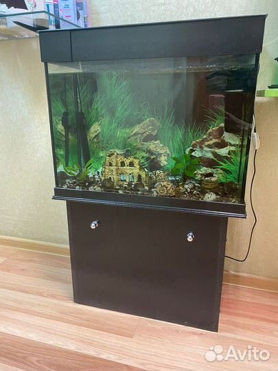 Аквариум