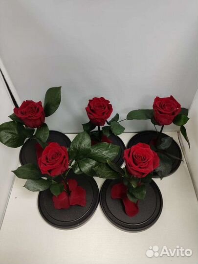 Подарок маме / Роза в колбе оптом