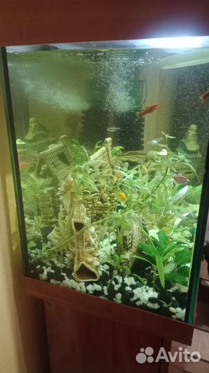 Аквариум с тумбой 150л