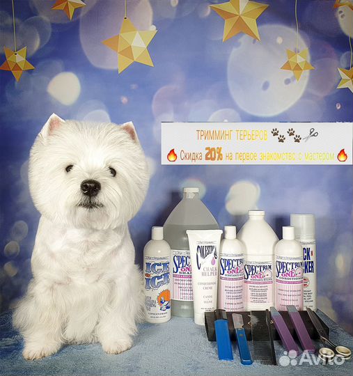 Породный тримминг Вест хайленд уайт терьеров