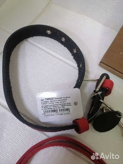 Ошейник и поводок