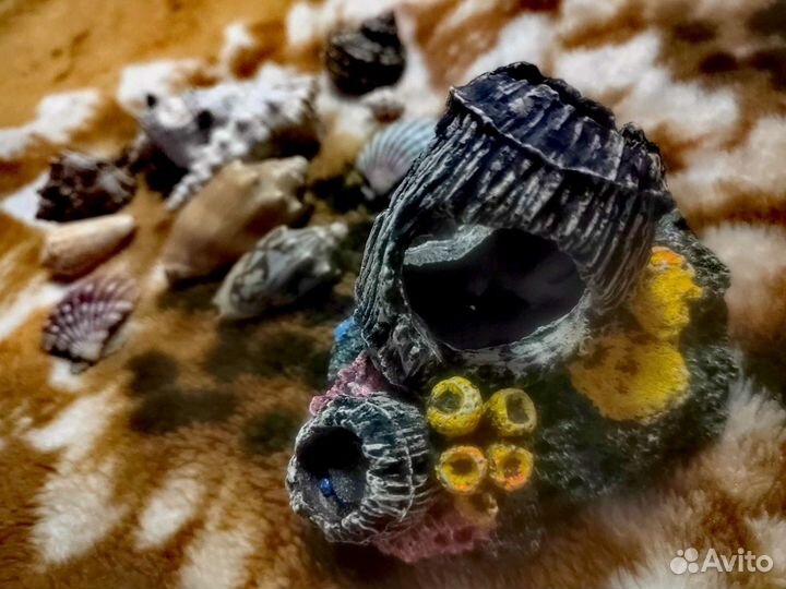 Набор для аквариума/Коралл и ракушки