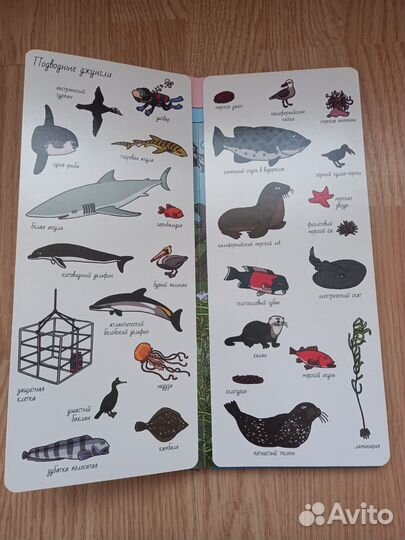 Книги Найди и покажи Clever