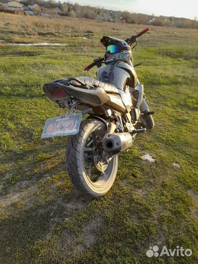 Racer nitro 250